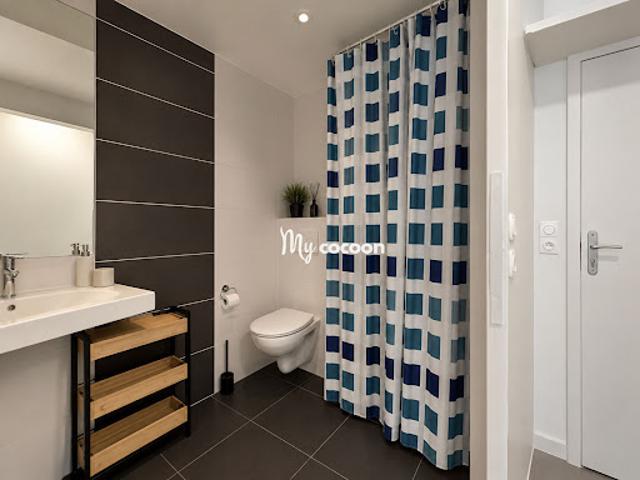 Vente Appartement 1 pièce 17 m2 Lyon 7ème