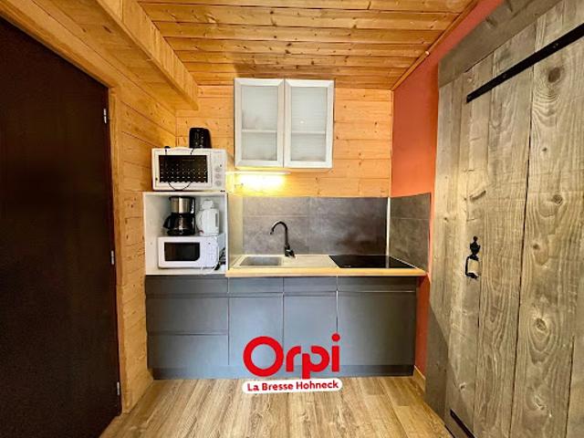 Vente Appartement 1 pièce 17.49 m2 La Bresse