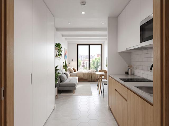 Vente Appartement 1 pièce 17.5 m2 Strasbourg