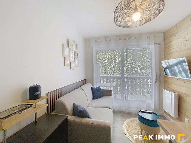 Vente Appartement 1 pièce 18.03 m2 Mieussy