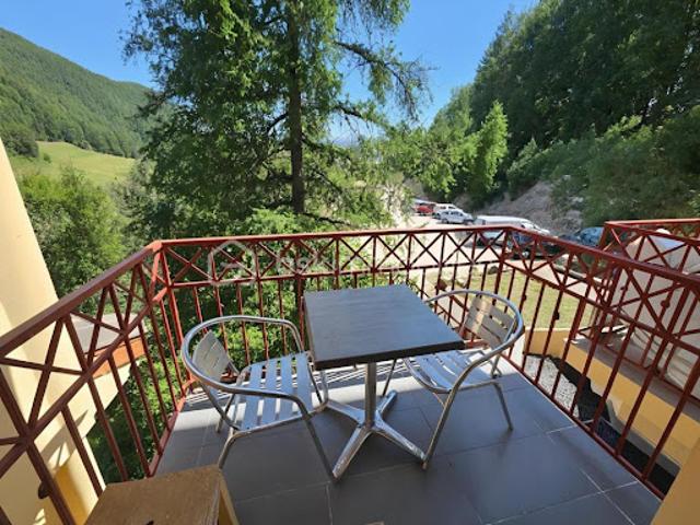 Vente Appartement 1 pièce 19 m2 La foux d'allos