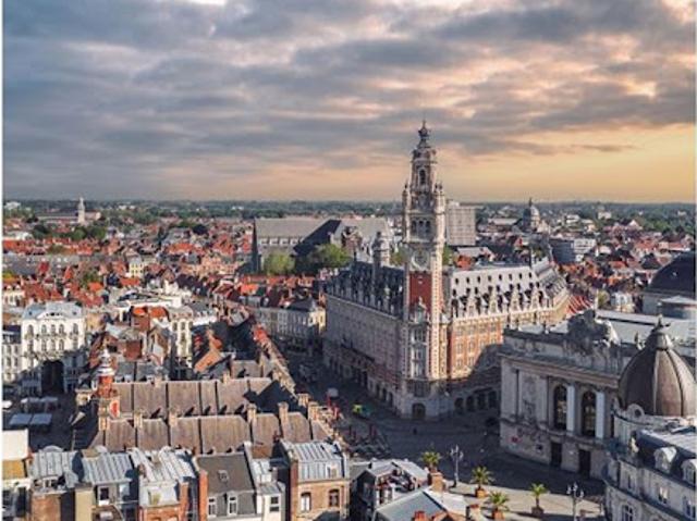 Vente Appartement 1 pièce 19 m2 Lille