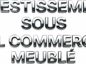 Vente Appartement 1 pièce 19 m2 Plescop