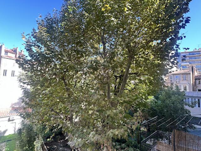 Vente Appartement 1 pièce 24 m2 Marseille 6ème