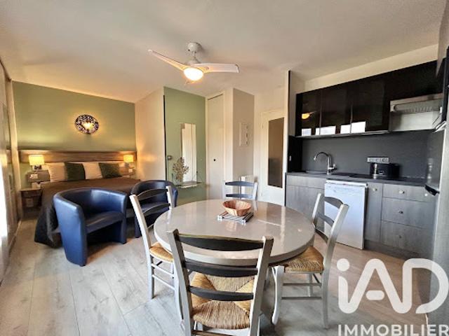 Vente Appartement 1 pièce 24 m2 Amélie les Bains Palalda