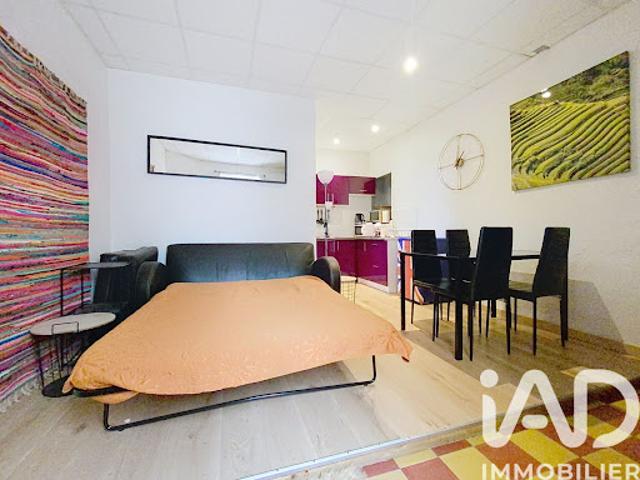 Vente Appartement 1 pièce 24 m2 Amélie les Bains Palalda