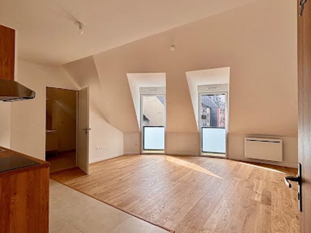 Vente Appartement 1 pièce 25.26 m2 Rennes