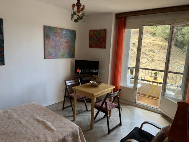 Vente Appartement 1 pièce 28 m2 Amélie les Bains Palalda