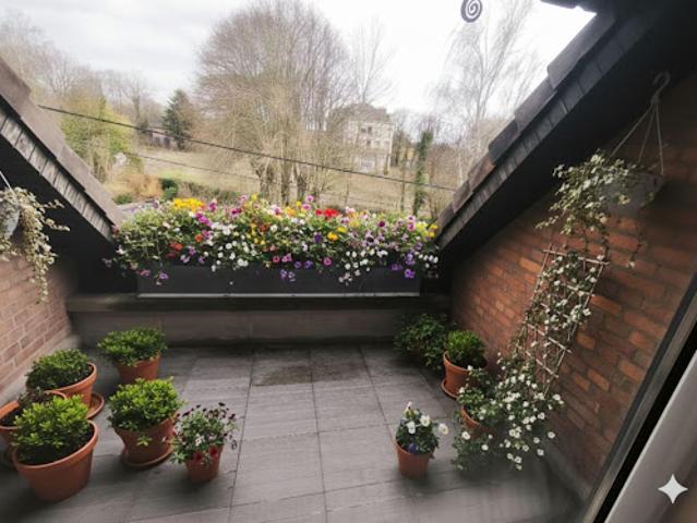 Vente Appartement 1 pièce 28 m2 Phalempin
