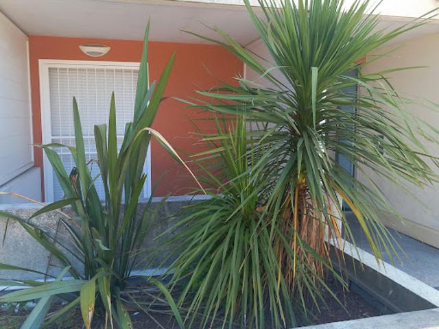 Vente Appartement 1 pièce 28.77 m2 Montpellier
