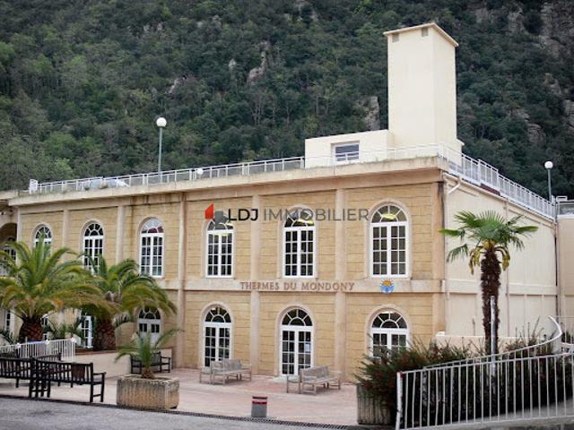 Vente Appartement 1 pièce 20 m2 Amélie les Bains Palalda