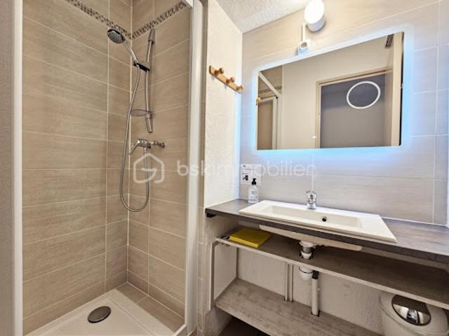 Vente Appartement 1 pièce 21.38 m2 La foux d'allos