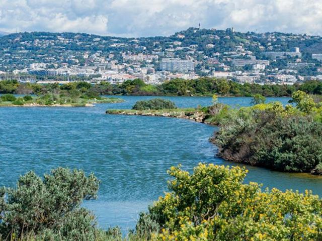 Vente Appartement 1 pièce 21.49 m2 Sainte Marguerite