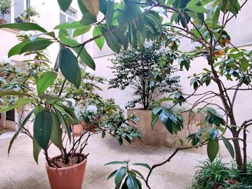 Vente Appartement 1 pièce 22 m2 Paris 2ème