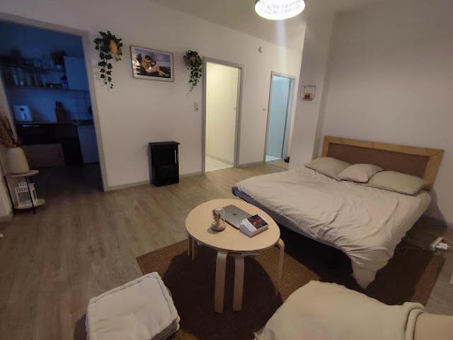 Vente Appartement 1 pièce 30 m2 Strasbourg