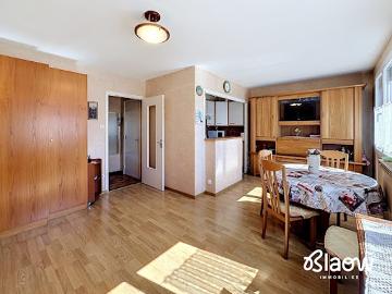 Vente Appartement 1 pièce 30.19 m2 Meyzieu