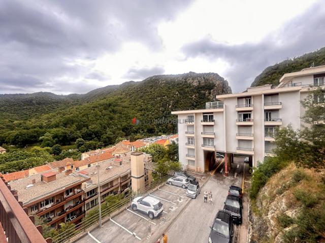 Vente Appartement 1 pièce 30.8 m2 Amélie les Bains Palalda