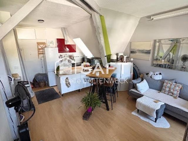 Vente Appartement 1 pièce 31 m2 Ribeauville