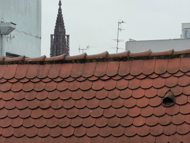 Vente Appartement 1 pièce 31.25 m2 Strasbourg