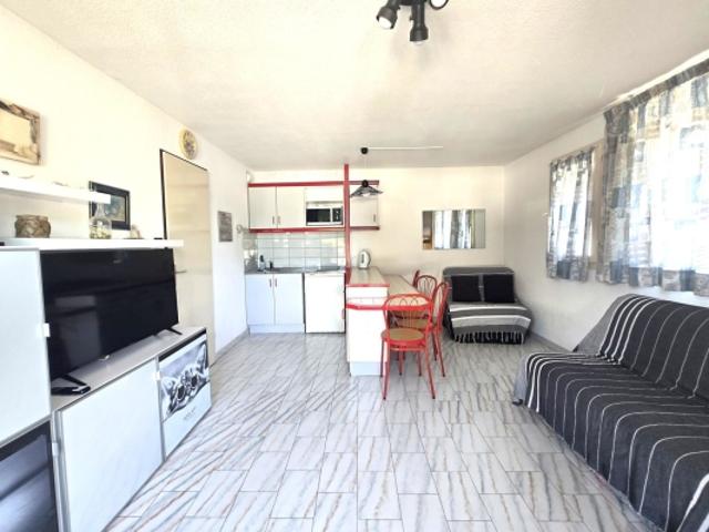 Vente appartement 28 m², 6 couchages, grande terrasse, piscine et parking privée