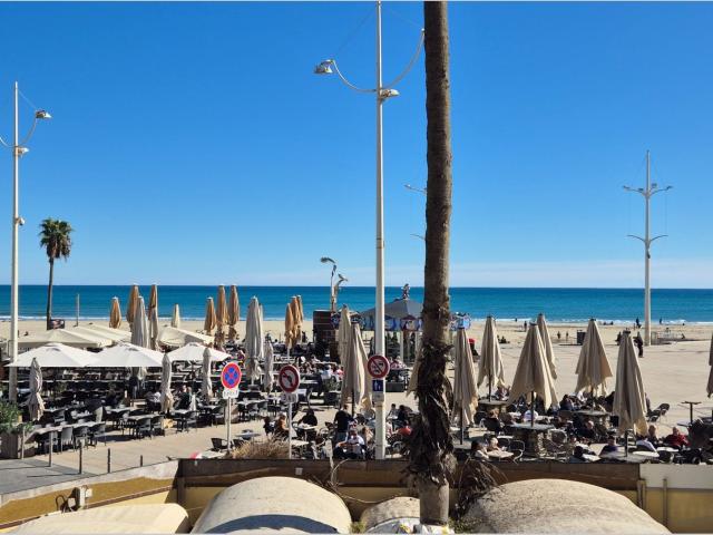 Vente appartement 2 Pièce s 42m² Canet en Roussillon