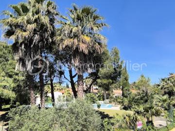 Vente Appartement 2 pièces 44.31 m2 Canet en Roussillon