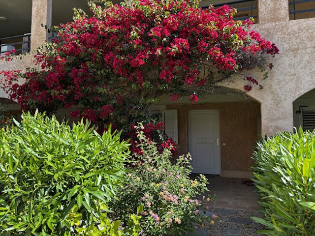 Vente Appartement 2 pièces 45 m2 Sari Solenzara