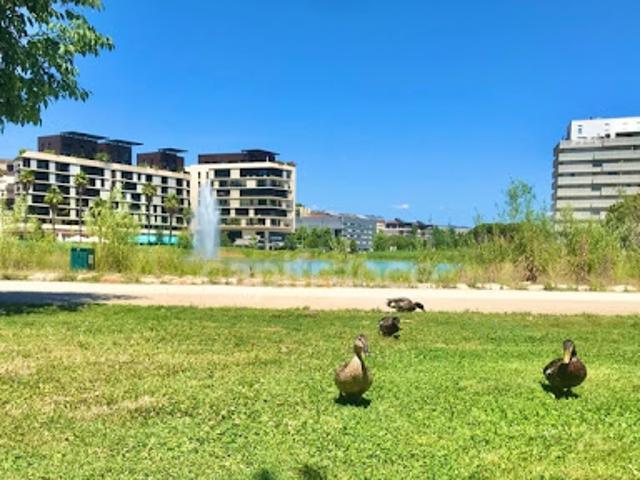 Vente Appartement 2 pièces 50 m2 Montpellier