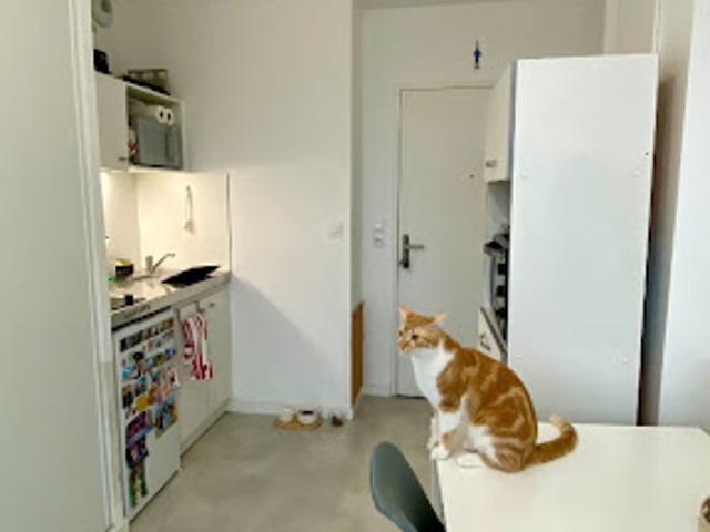 Vente Appartement 2 pièces 24 m2 Villeneuve d'Ascq