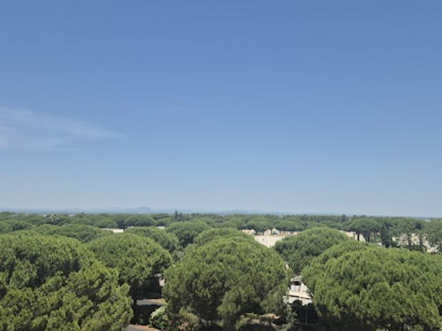 Vente Appartement 2 pièces 29.08 m2 La Grande Motte