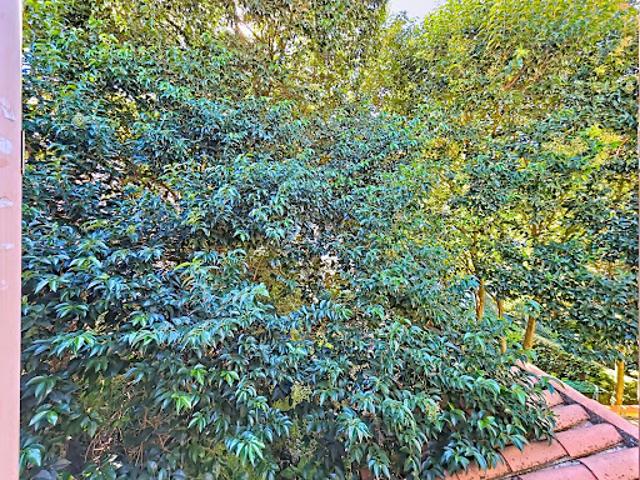 Vente Appartement 2 pièces 33 m2 Bédarieux