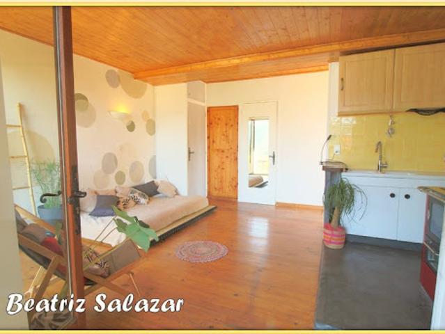 Vente Appartement 2 pièces 31 m2 Seyne les alpes