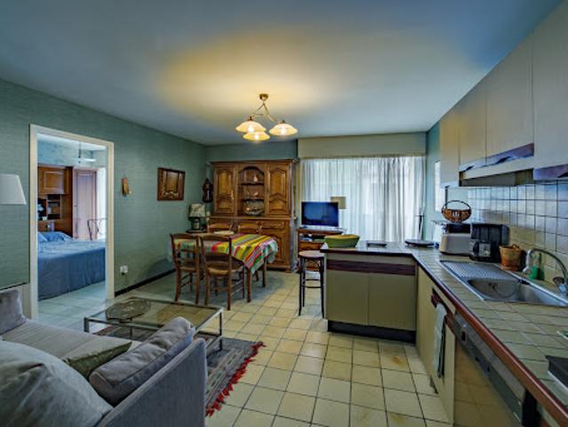 Vente Appartement 2 pièces 39.31 m2 Prats de Mollo la Preste