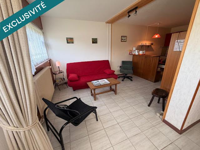 Vente Appartement 2 pièces 39 m2 Besse et Saint Anastaise