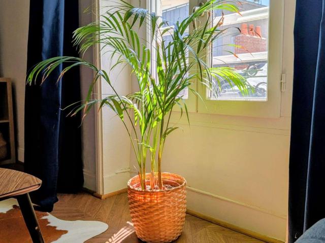 Vente appartement 2 pièces Nantes Île de Nantes 44