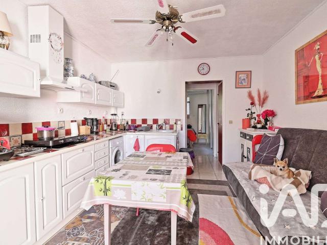 Vente appartement 2 pièces Saint cyprien plage 66