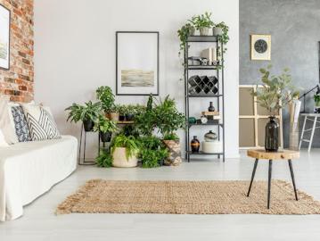 Vente Appartement 3 pièces 56.2 m2 Sartrouville