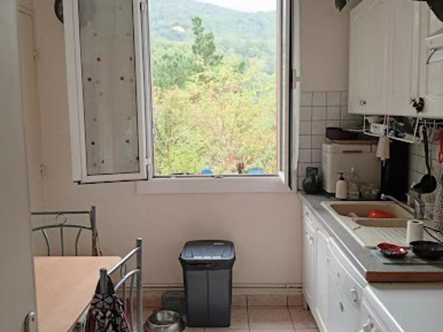 Vente Appartement 3 pièces 63.29 m2 Amélie les Bains Palalda