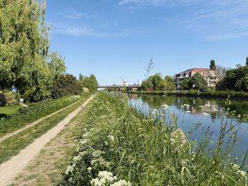 Vente Appartement 3 pièces 63 m2 Bischheim