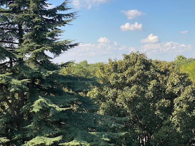 Vente Appartement 3 pièces 63.6 m2 Chennevieres sur marne