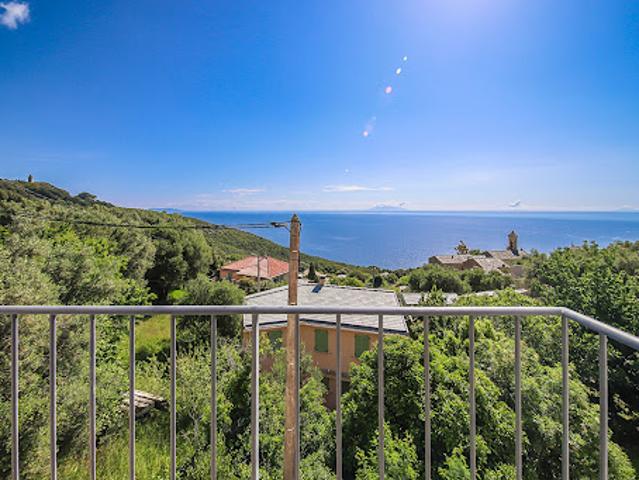Vente Appartement 3 pièces 61.4 m2 Brando