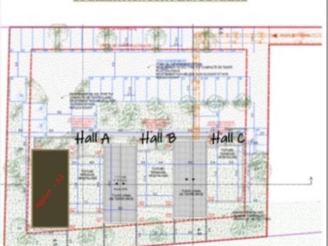 Vente Appartement 3 pièces 67.46 m2 Lucciana