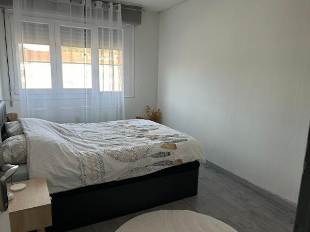Vente Appartement 3 pièces 67 m2 Saint die des vosges