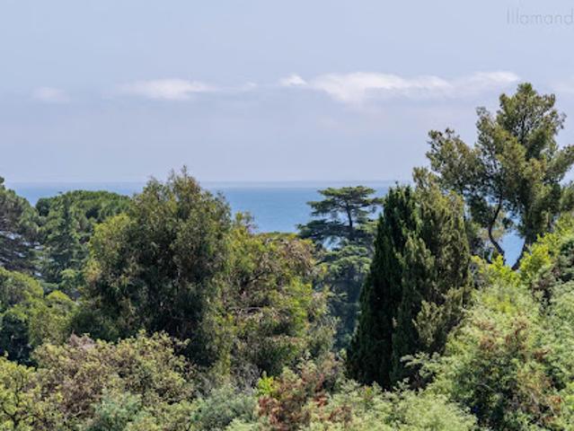 Vente Appartement 3 pièces 78 m2 Cannes