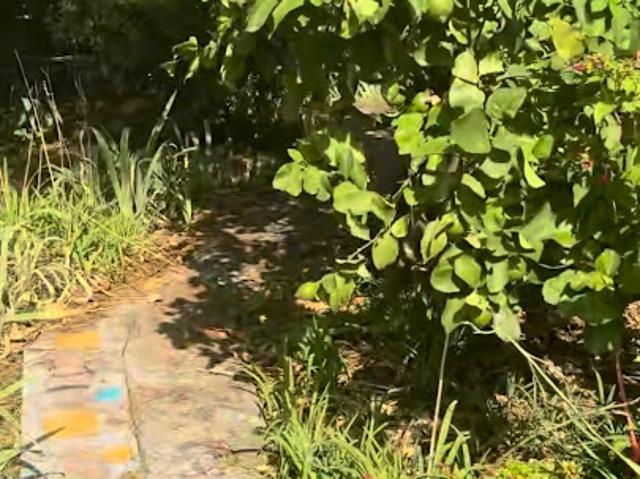 Vente Appartement 3 pièces 80 m2 Vallauris