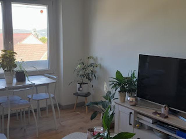Vente Appartement 3 pièces 37.38 m2 Belley