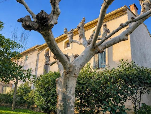 Vente Bastide 15 pièces 520 m2 La Fare les Oliviers