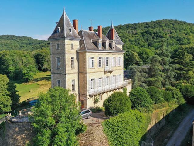 Vente Château 14 pièces 460 m2 Crémieu