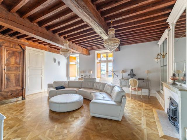 Vente Château 14 pièces 470 m2 Bourgoin Jallieu