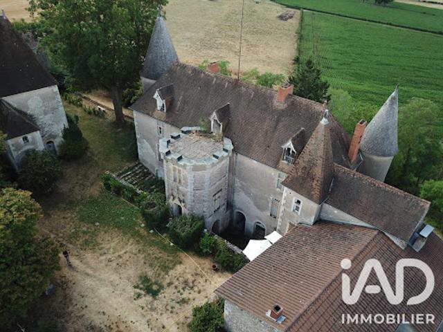 Vente Château 14 pièces 355 m2 Vicq